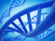  Transcriptomics: From Microarrays to RNA-Seq