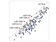 State of the Art: miRNA Tools