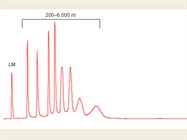  How to Increase the Quality and Quantity of your RNA Extractions