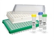 PrimePCR Validated Assays and Pathway Panels for Real-Time PCR
