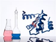  Proteomics Platform Development
