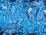  Newer Methods of Pathogen Detection