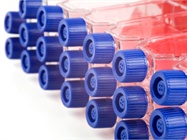  Cell-Line Optimization Comes of Age