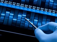  High-res CNV Detection
