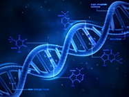  Digital PCR: Counting DNA molecules