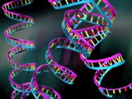  Of Noncoding RNA and Epigenetics