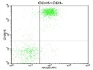 APC Anti-Human NKG2D Antibody: Highly Recommended