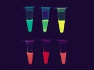  Protein Labeling Made Easy