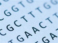  Genotyping: After the GWAS