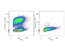 Antibody of Choice for Anti-Mouse F4/80