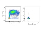 Good Antibody at Affordable Price