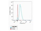 Alexafluor 647-Conjugated Anti-Human CD44 Antibody