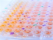 Taking Steps Towards Scientific Reproducibility