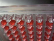 Is Your Microplate Reader 3D Cell Culture-Ready?