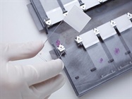 Digital Pathology Systems