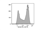 CD11b Antibody: Brilliant!