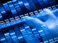  CNV Detection from NGS Data
