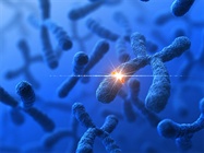  Molecular Cytogenetics