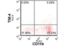 TIM-4 Expression of LPS Activated Peritoneal Macrophages