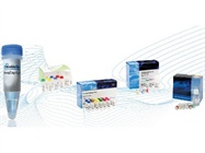 Capturing Methylated DNA