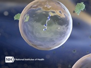  Exosome-Based Biomarkers