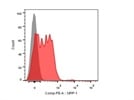Very good CD304 antibody