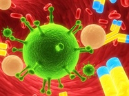 T-Cell Proliferation Assays