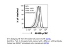 Very potent antibody for pERK flow staining