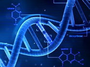  Targeted DNA Sequencing