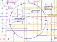  Metabolomics Data Analysis