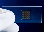  Protein Microarrays for PTM Analysis