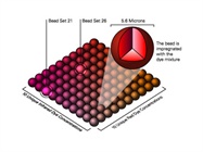  Multiplexed PTM Analysis