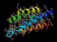  Protein Quantitation with SRM