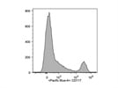 CD117 (c-Kit): Just Great