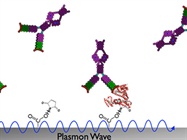  Label-Free Biomolecular Interaction Analysis