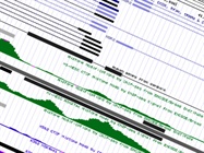  High-Throughput ChIP Assays