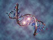  DNA Methylation Tools