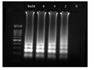 Good enzyme, some optimization likely required