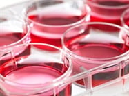  Cell Proliferation Assays