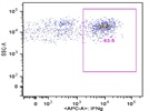 Excellent Ab for intracellular staining of mouse IFN-g