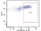 Excellent Ab for intracelluar staining of mouse IL-10