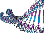  NGS Update