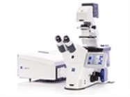 ZEISS LSM 880 with Airyscan Confocal Laser Scanning Microscope