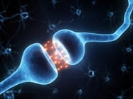  Cell Lines for Ion-Channel Screening