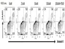 Measurement of Differential Apoptosis of HEK cells in presence of PDGF