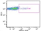 PE anti-mouse IL-22 Antibody for ICS