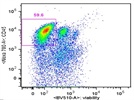 Alexa Fluor® 700 anti-mouse CD45 Antibody
