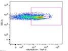 Brilliant Violet 605 anti-mouse TNF-alpha Antibody