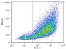 FITC anti-mouse CD11c Antibody for Dendritic Cell Staining