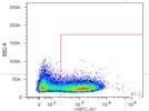 APC anti-mouse Ly-6G/Ly-6C (Gr-1) Antibody for Neutrophil cells